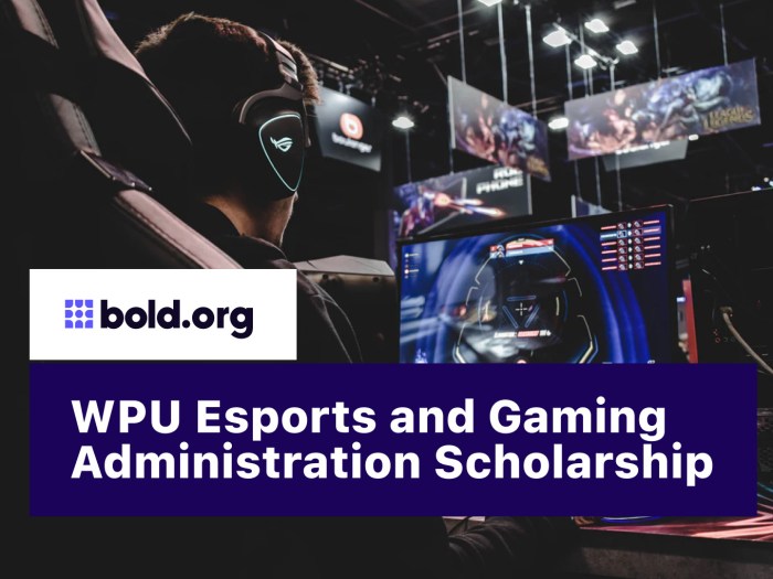 Top 30 Esports Scholarships to Apply for in June 2025 | Bold.org